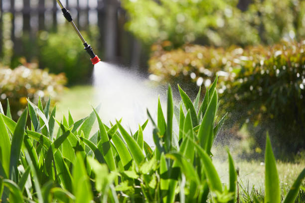 24/7 Emergency Fumigation Services experts in Aetna Estates, CO