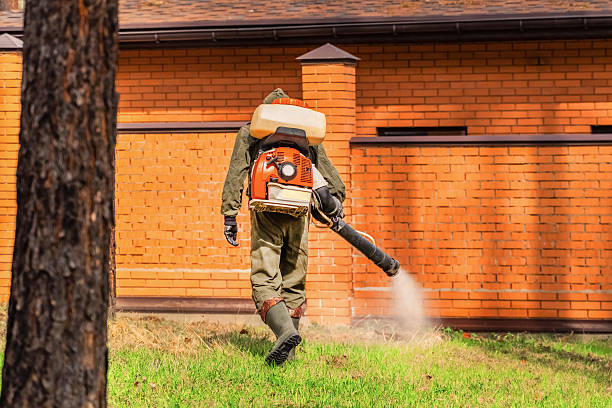 Trusted Rodent Control service in Aetna Estates, CO - Nex Pest Control